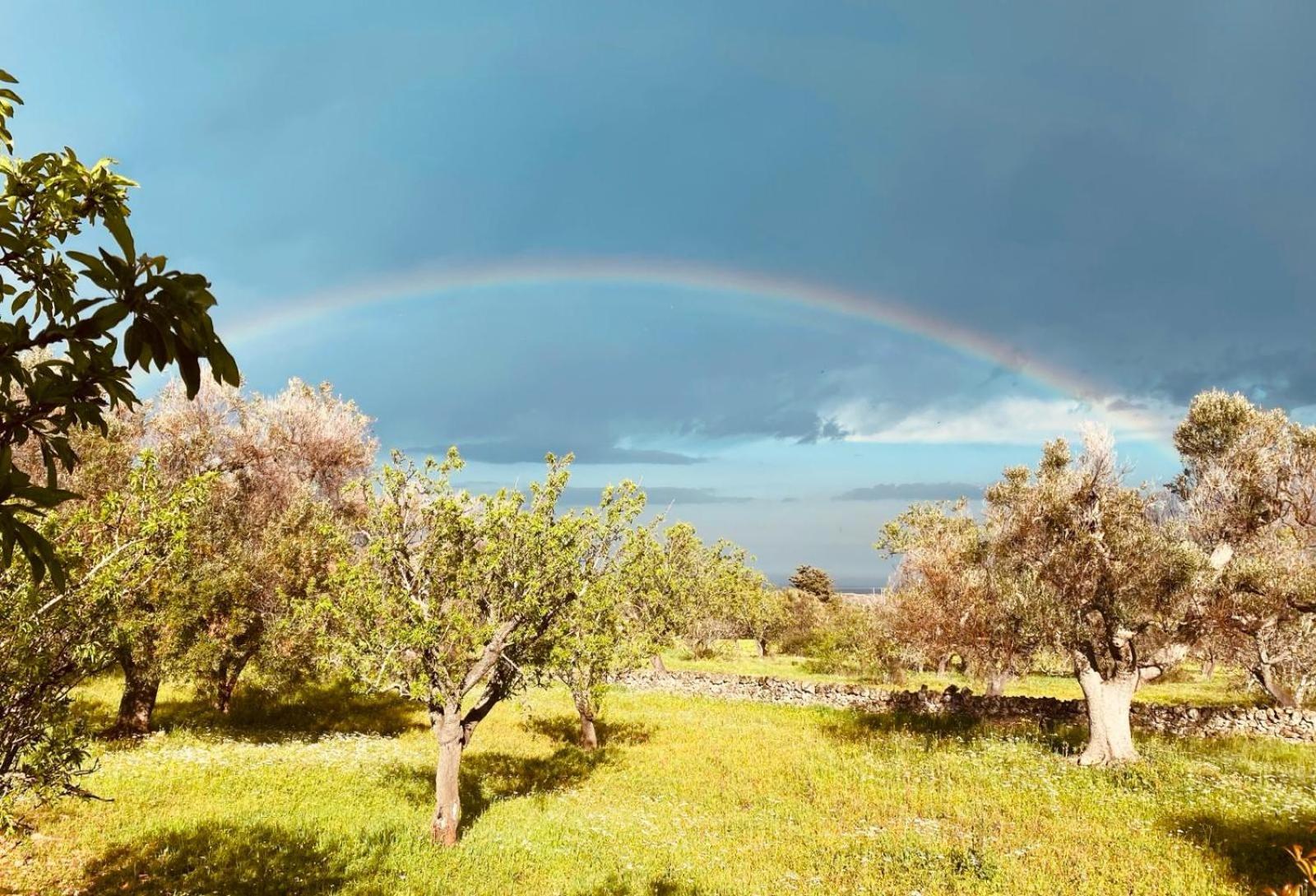 La Perla Di Torre Guaceto Villa Serranova Luaran gambar